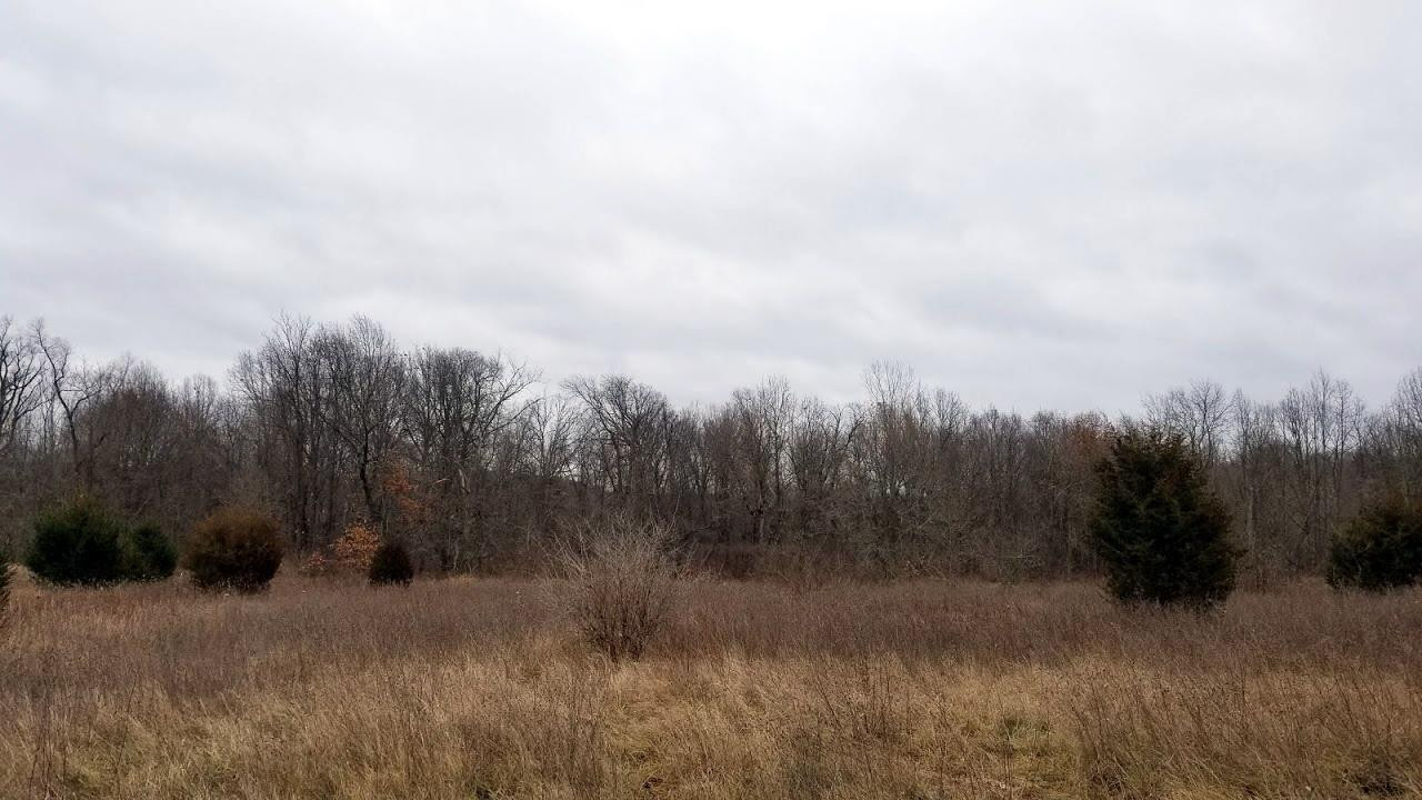 0 Timberhill Parcel N Manchester, MI 48158 - Photo 6 of 14 Photo 6