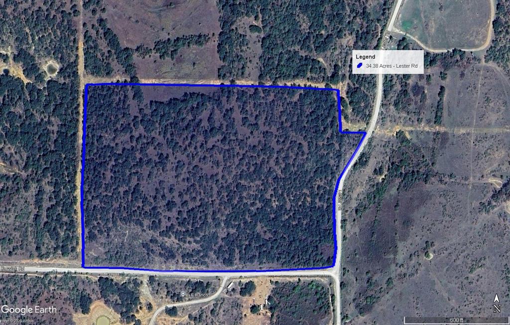 34.38-acres Lester Road Jacksboro, TX 76458 - Photo 12 of 12 a view of a back yard