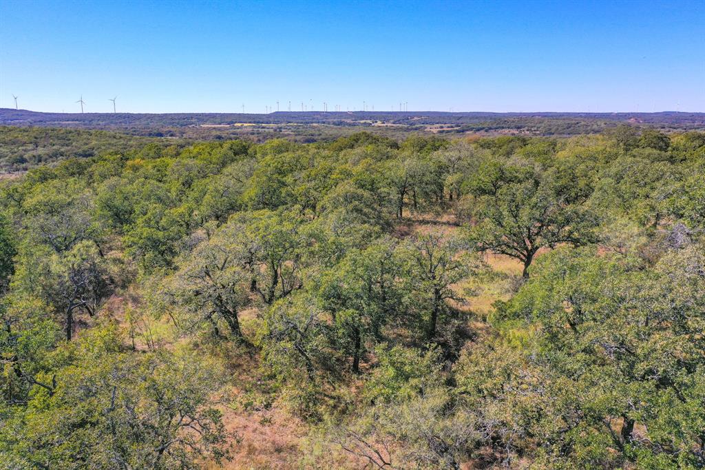 34.38-acres Lester Road Jacksboro, TX 76458 - Photo 4 of 12