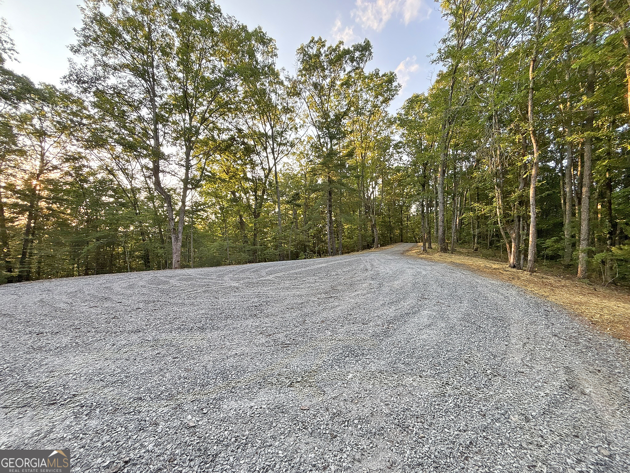 Lot 20 Mt Springer Road Ellijay, GA 30540 - Photo 14 of 32