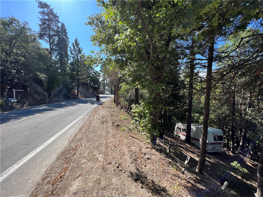 a view of a park with large trees