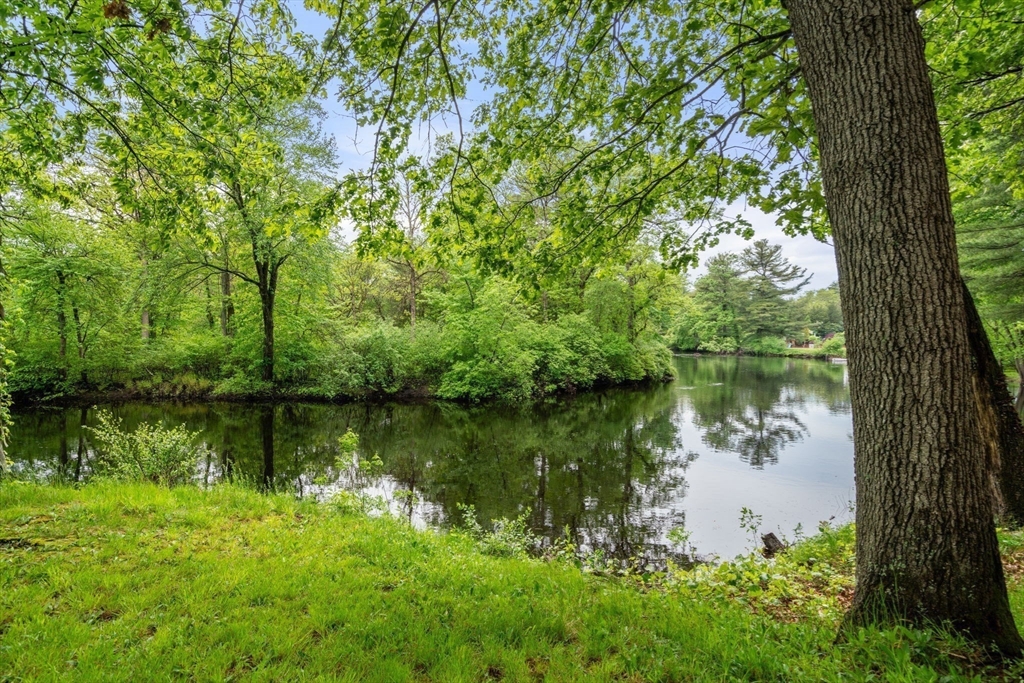 200 Edgewater Drive Needham, MA 02492 - Photo 39 of 41 a body of water with a tree in the background