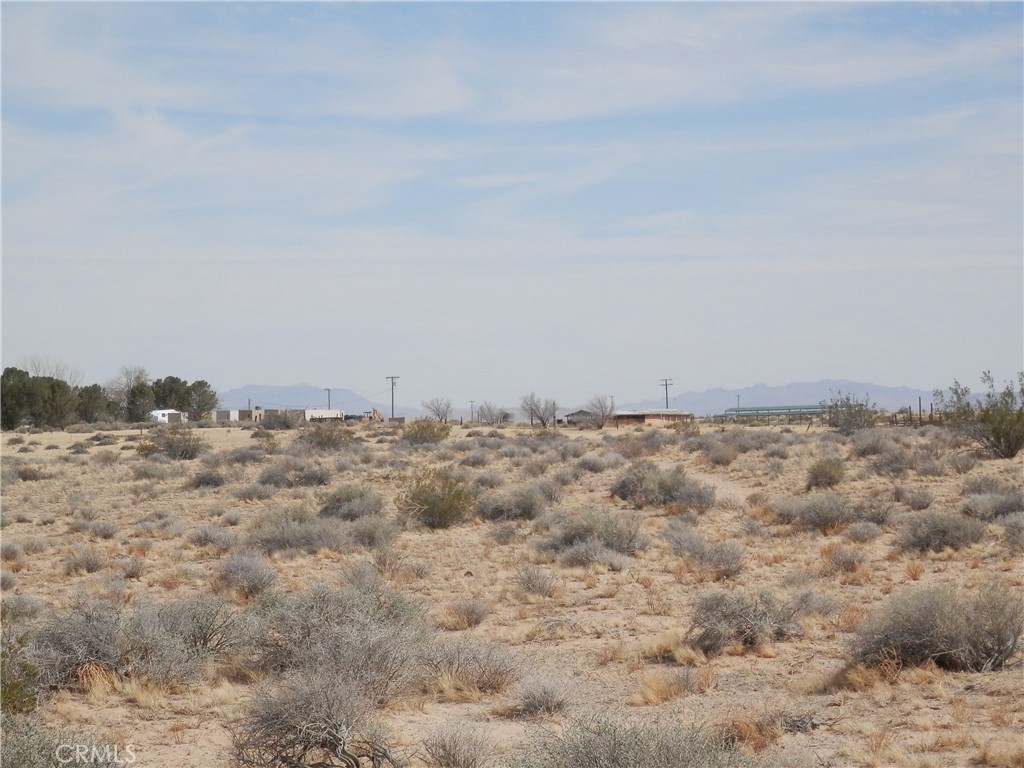 0 Holstead Road Hinkley, CA 92347 - Photo 13 of 15 a view of wooden space and covered with fog