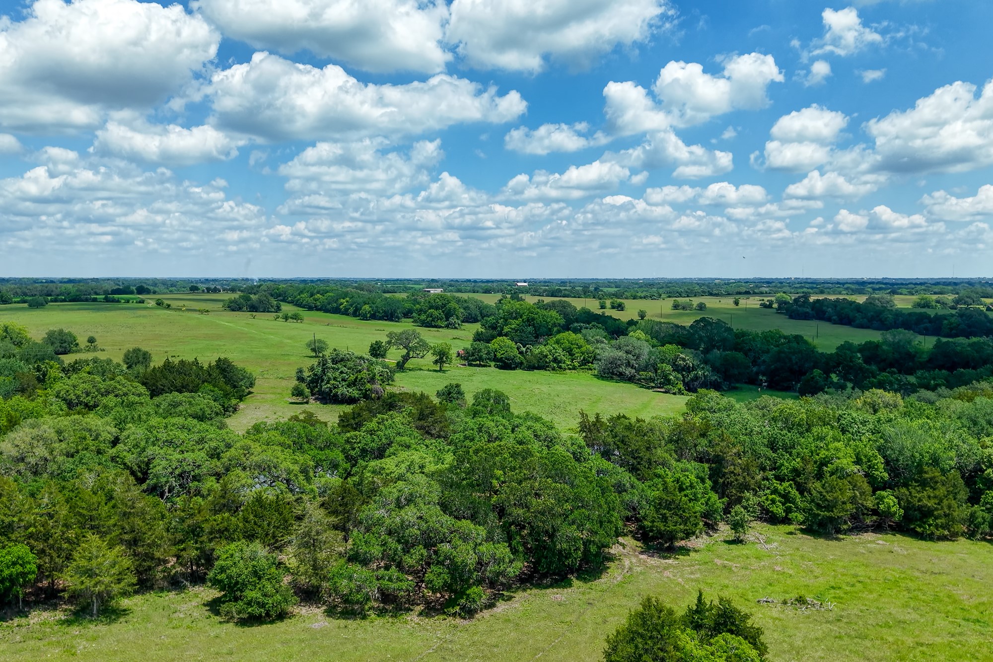 5018 Wolters Road Schulenburg, TX 78956 - Photo 15 of 39 a view of a bunch of trees