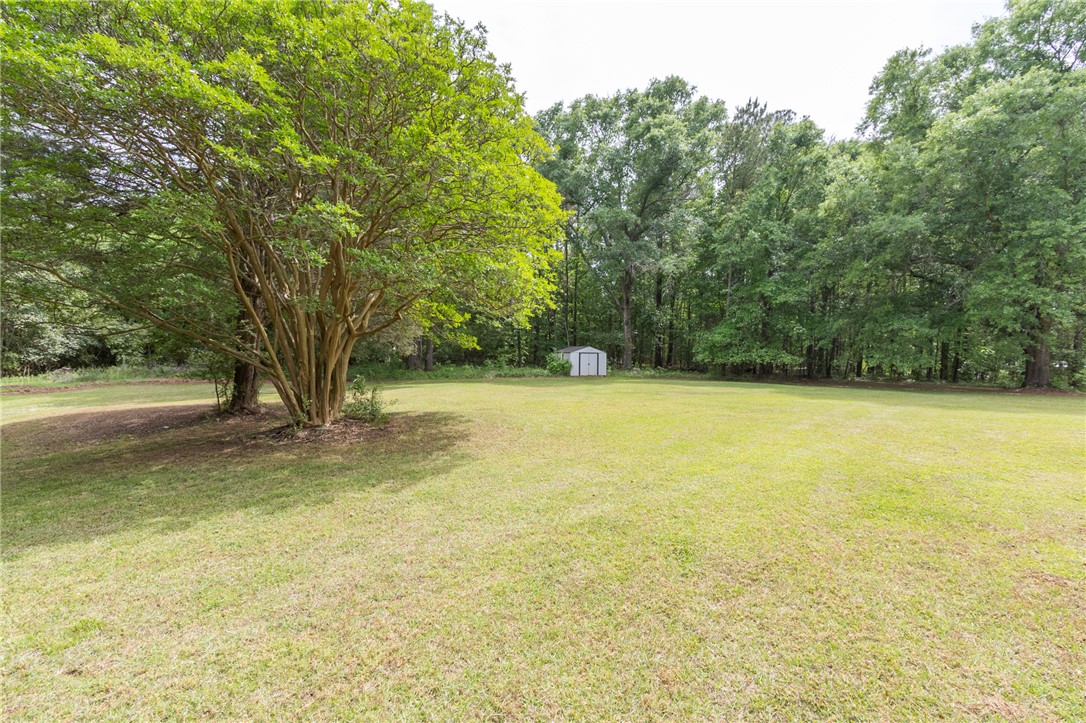 1116 Leatherdale Road Iva, SC 29655 - Photo 13 of 46 Expansive green yard with mature trees, perfect for outdoor activities.