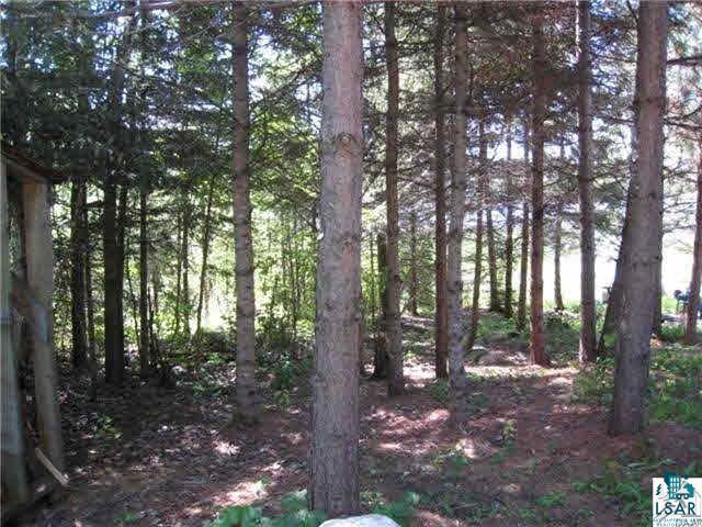 2282 Passi Road Ely, MN 55731 - Photo 3 of 17 Gallery Image 3