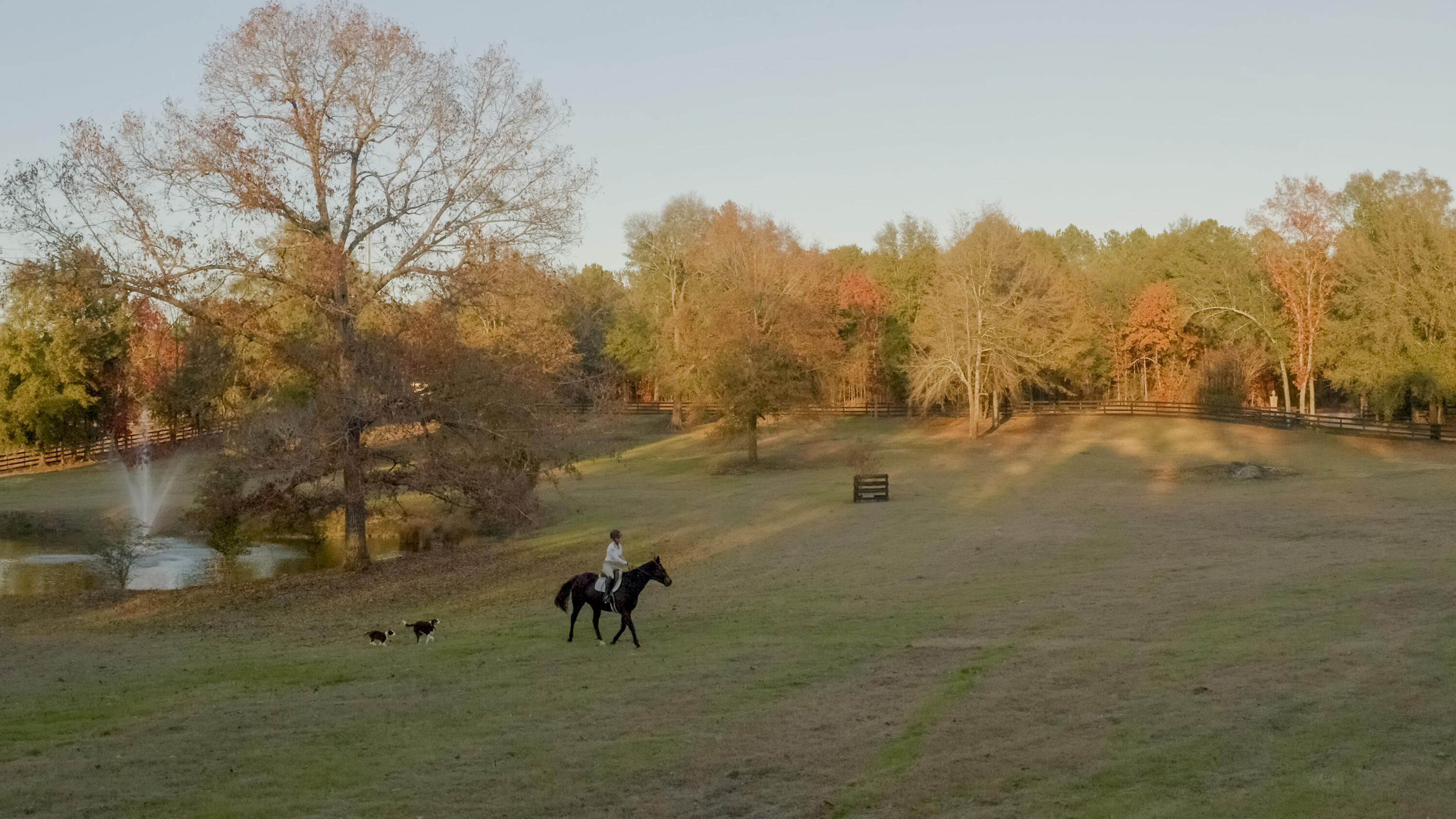 199 Hayden Road Aiken, SC 29805 - Photo 96 of 119