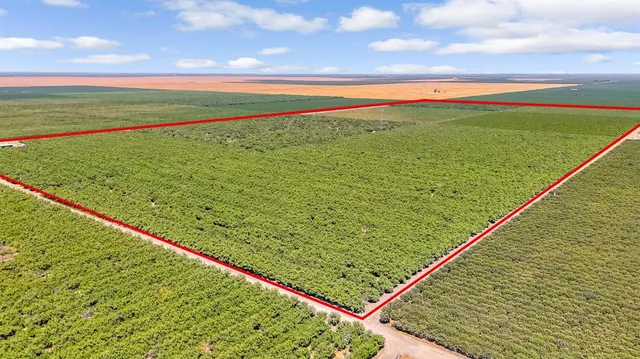 a view of a tennis court