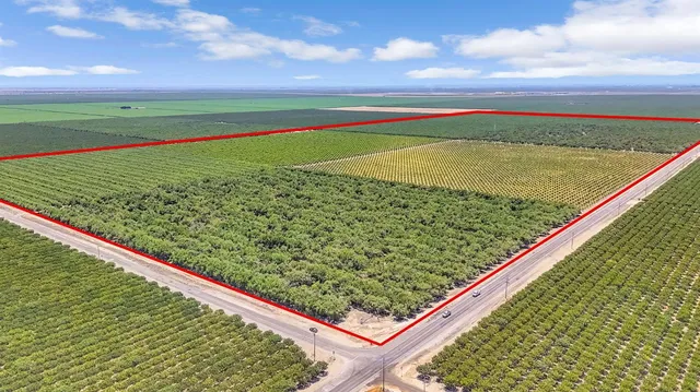 a view of a garden from a yard