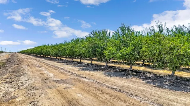 a view of a yard with plants and trees