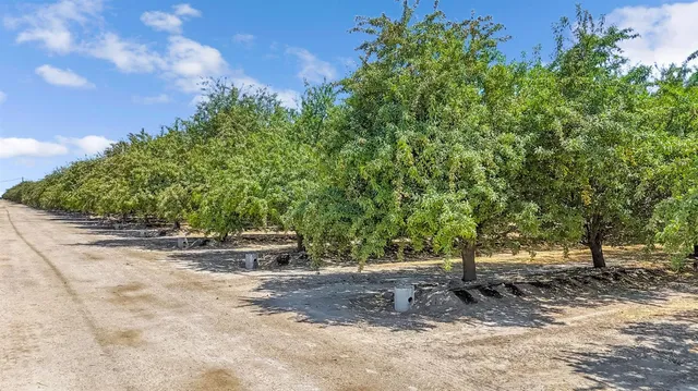 a view of a park with a slide