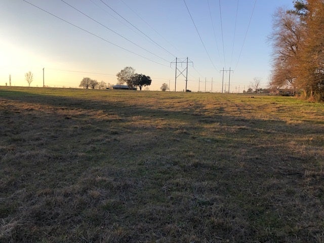 4-ac Babbie Road Andalusia, AL 36421 - Photo 11 of 17 Gallery Image 11