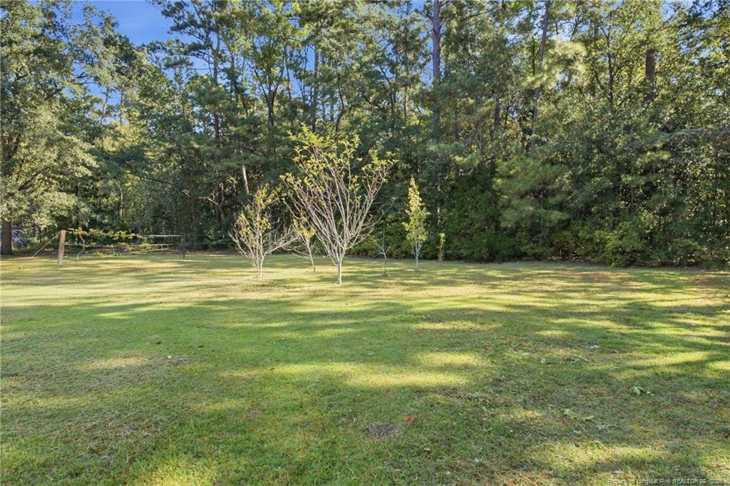 1503 Lakeview Road Fairmont, NC 28340 - Photo 4 of 34 Photo 4