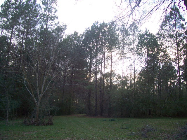 1526 Fox Road Southeast Bogue Chitto, MS 39629 - Photo 1 of 1 Main View