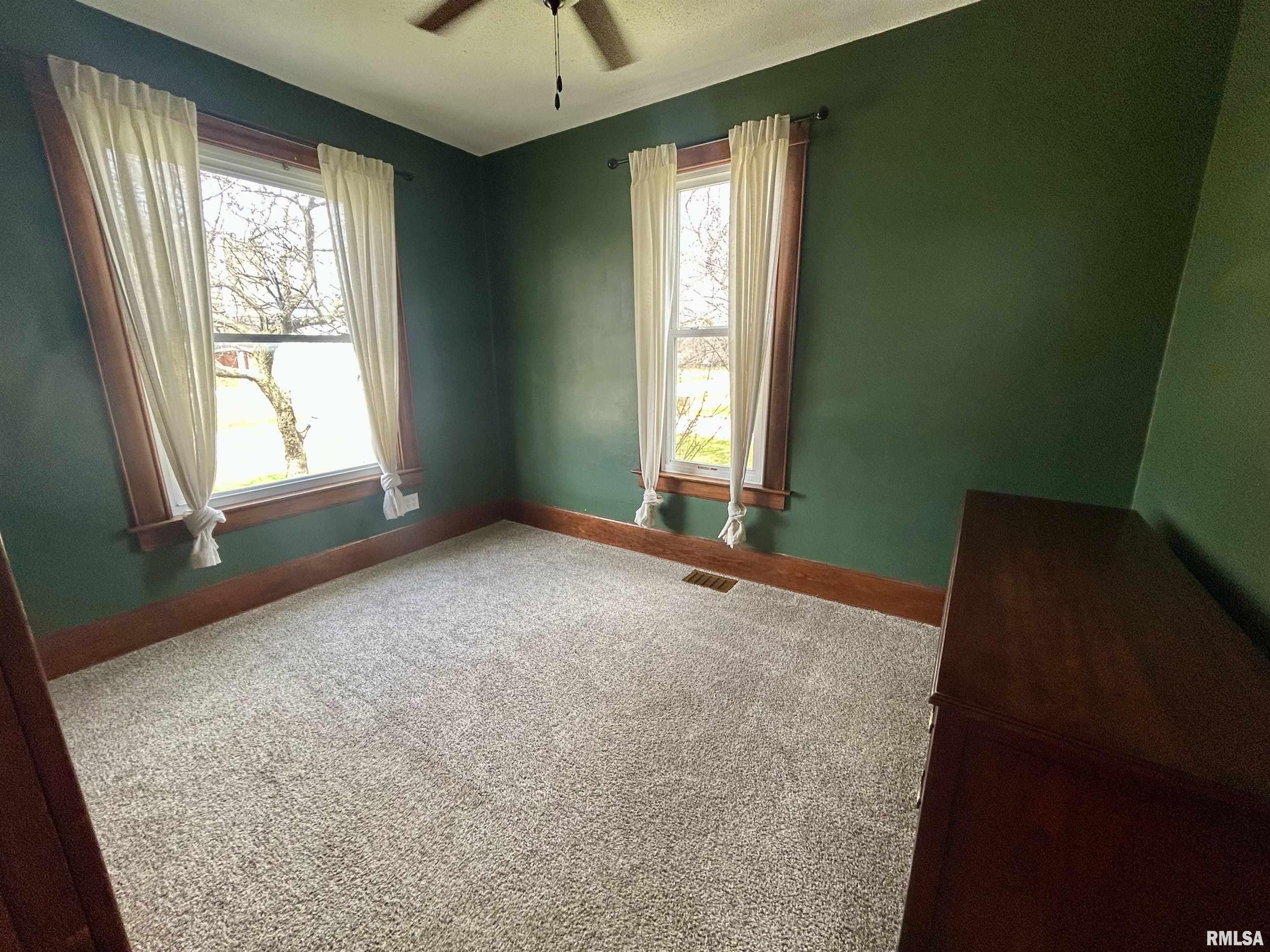 404 South Street Morrisonville, IL 62546 - Photo 12 of 24