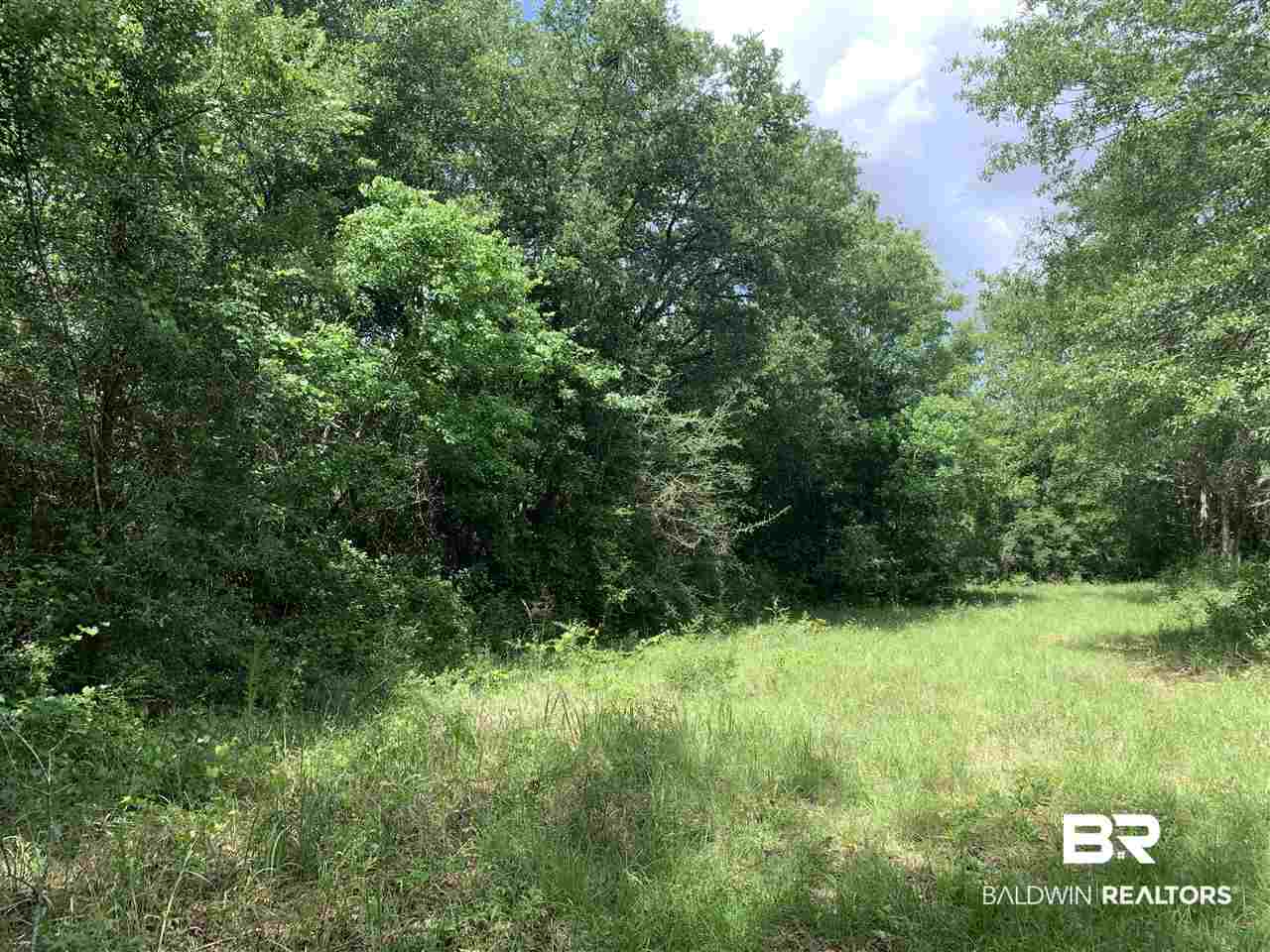 27265 Glass Road Robertsdale, AL 36567 - Photo 3 of 6
