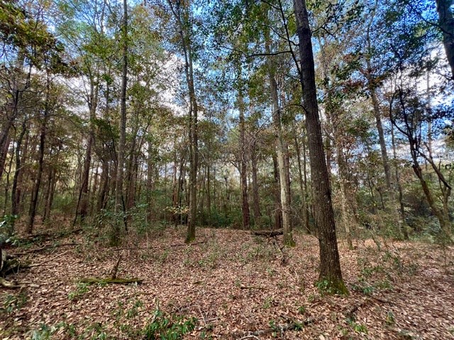 Undisclosed Address Headland, AL 36345 - Photo 25 of 36