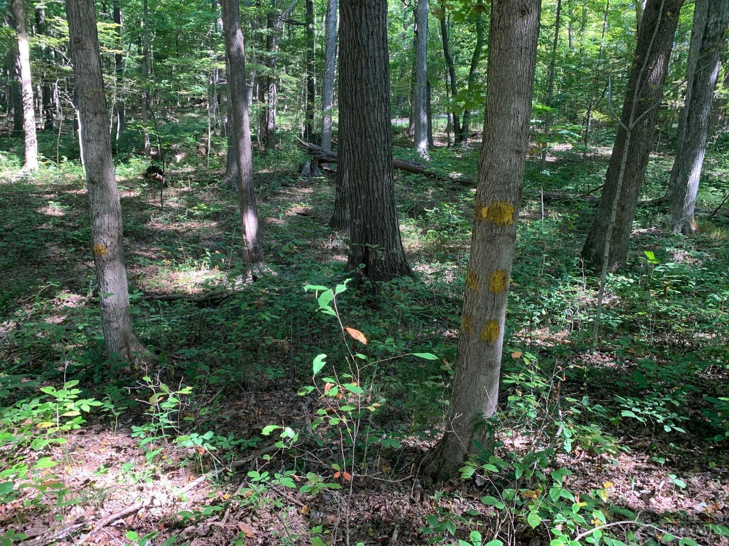 0 Green Ridge Road Peebles, OH 45660 - Photo 28 of 34 Gallery Image 28