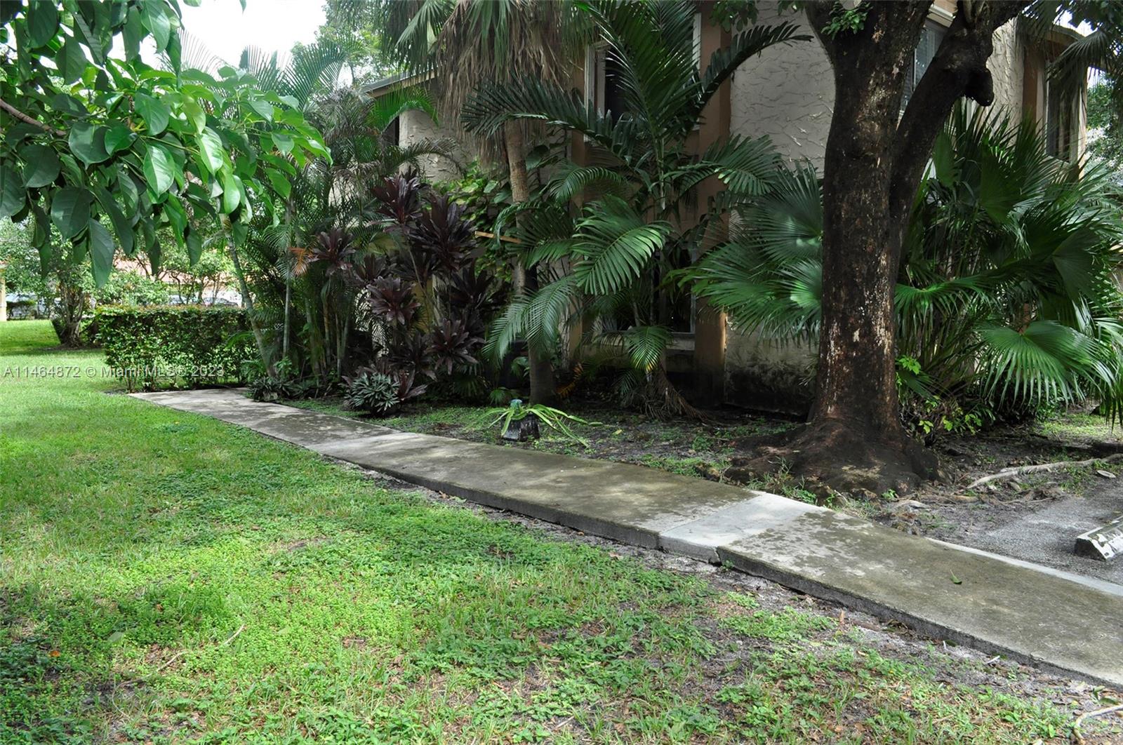 a view of a yard with plants and trees