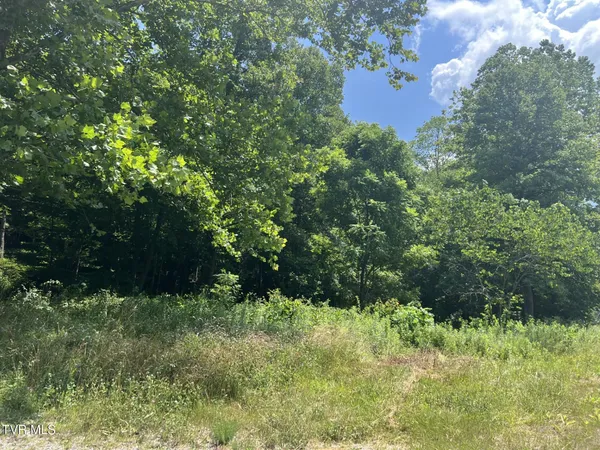 $79,000 | Tbd Clintwood Highway, Clintwood, VA 24228