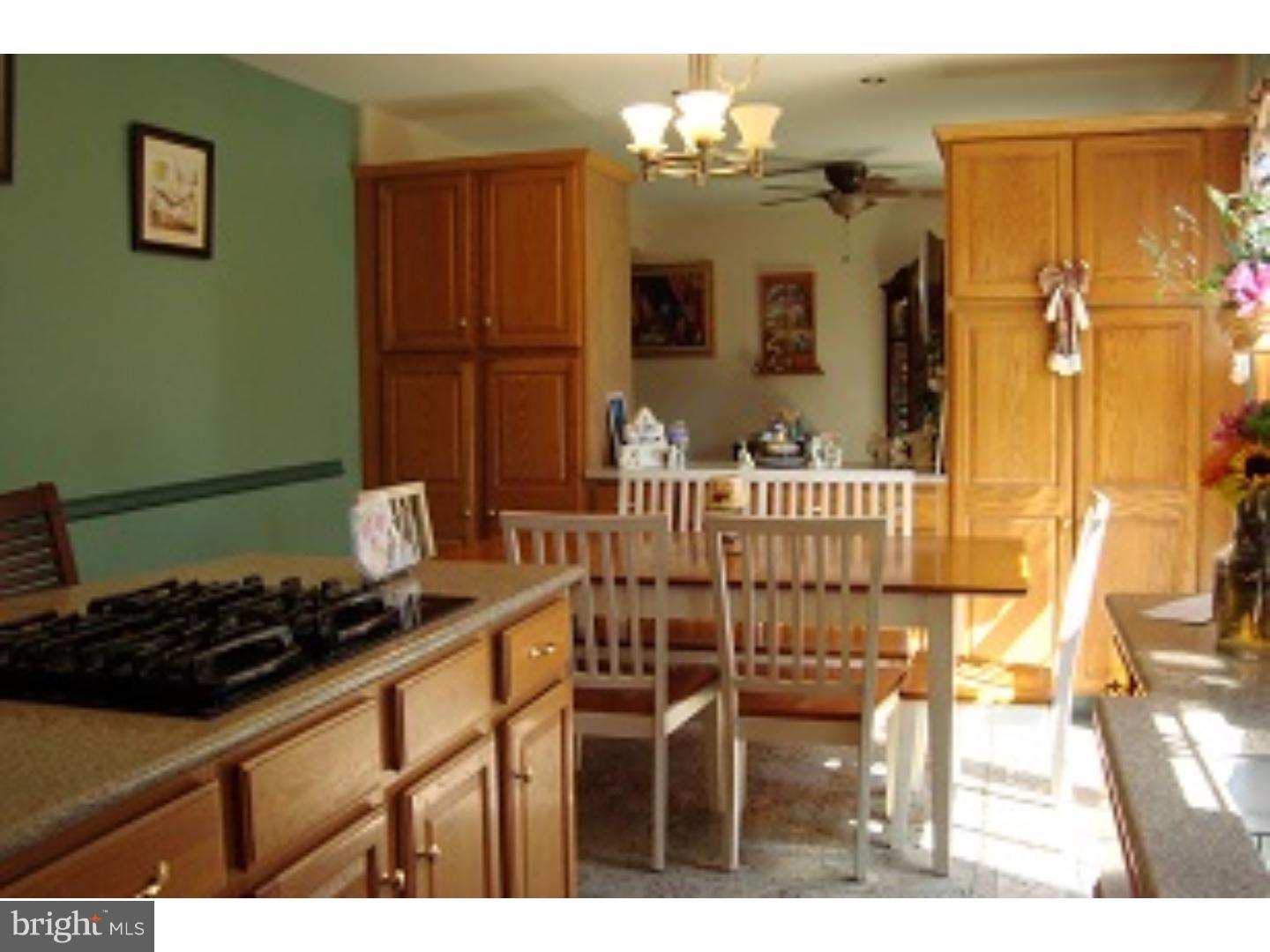 332 West Ridley Avenue Ridley Park, PA 19078 - Photo 4 of 20 Kitchen