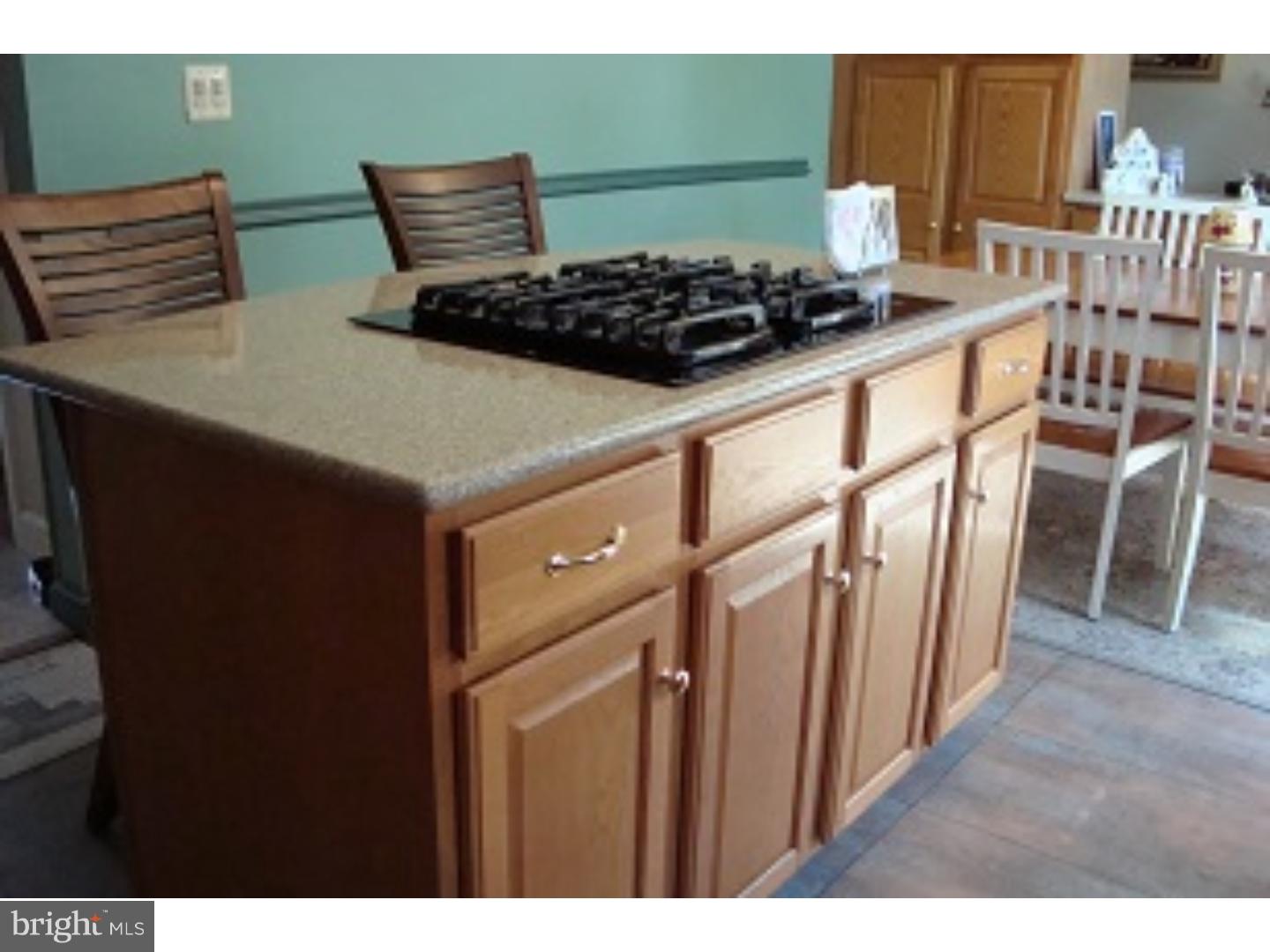 332 West Ridley Avenue Ridley Park, PA 19078 - Photo 6 of 20
