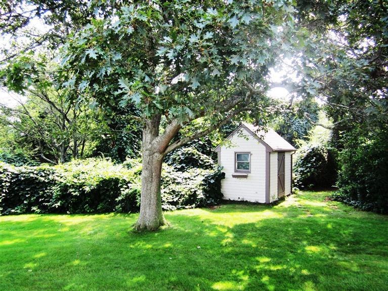 36 Torrey Road East Sandwich, MA 02537 - Photo 23 of 24 a view of a backyard with large trees