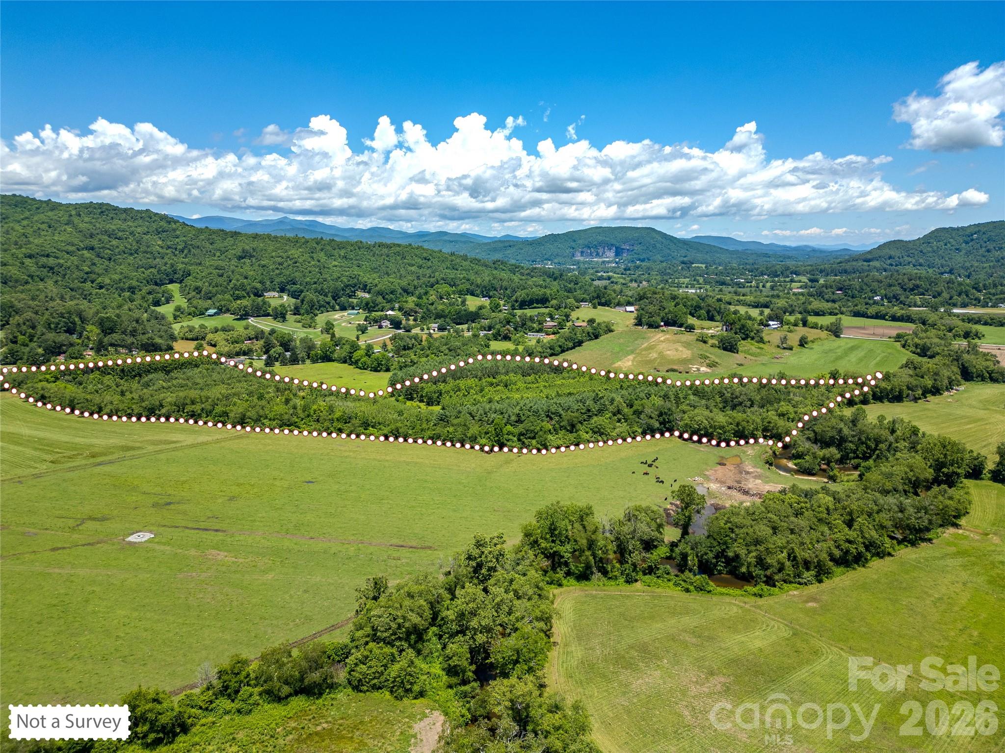 Tbd Canebrake Road Pisgah Forest, NC 28768 - Photo 33 of 43