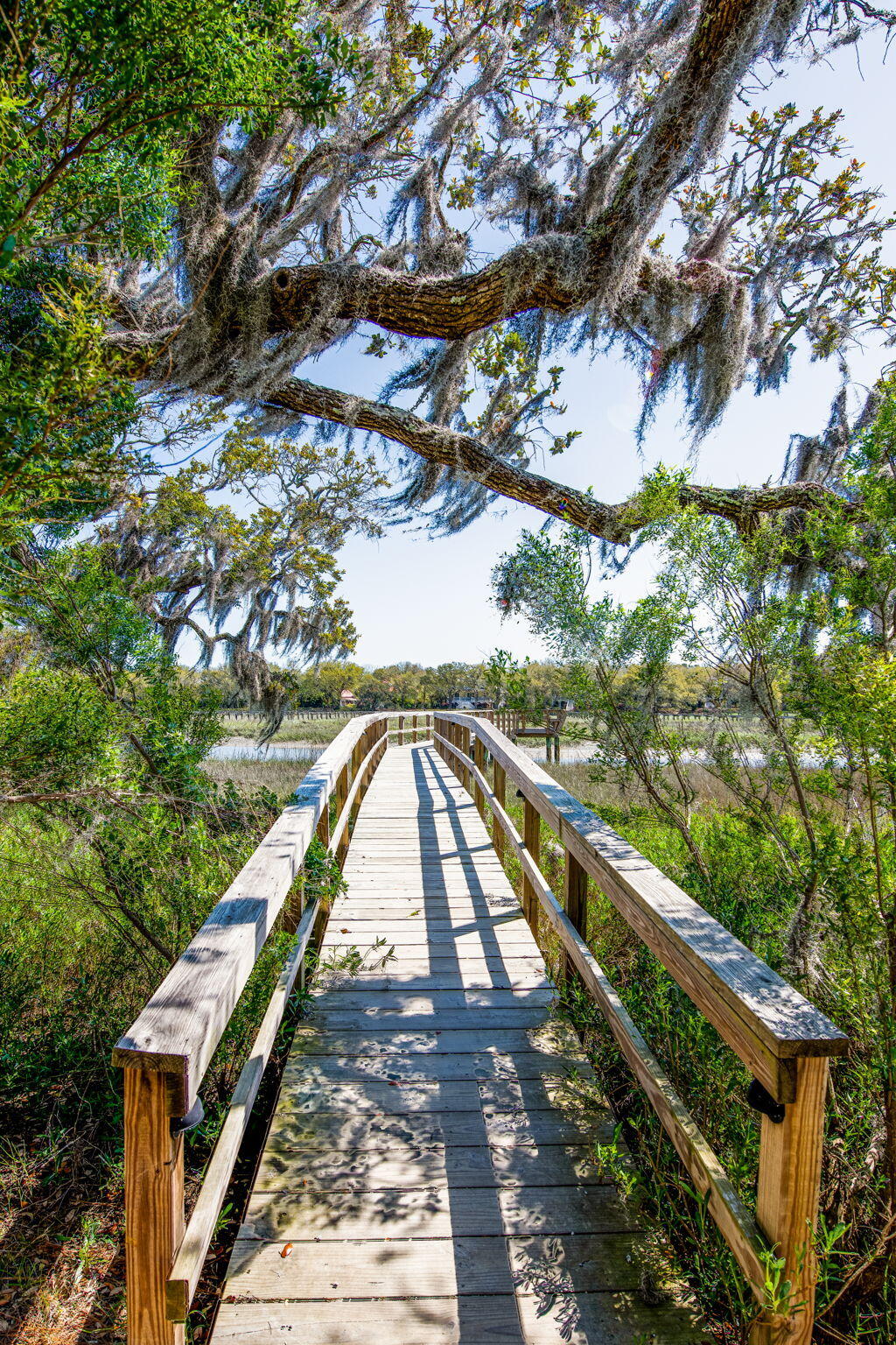 667 Goodlet Circle Charleston, SC 29412 - Photo 31 of 31 56-web-or-mls-Seaside amenities - Coast
