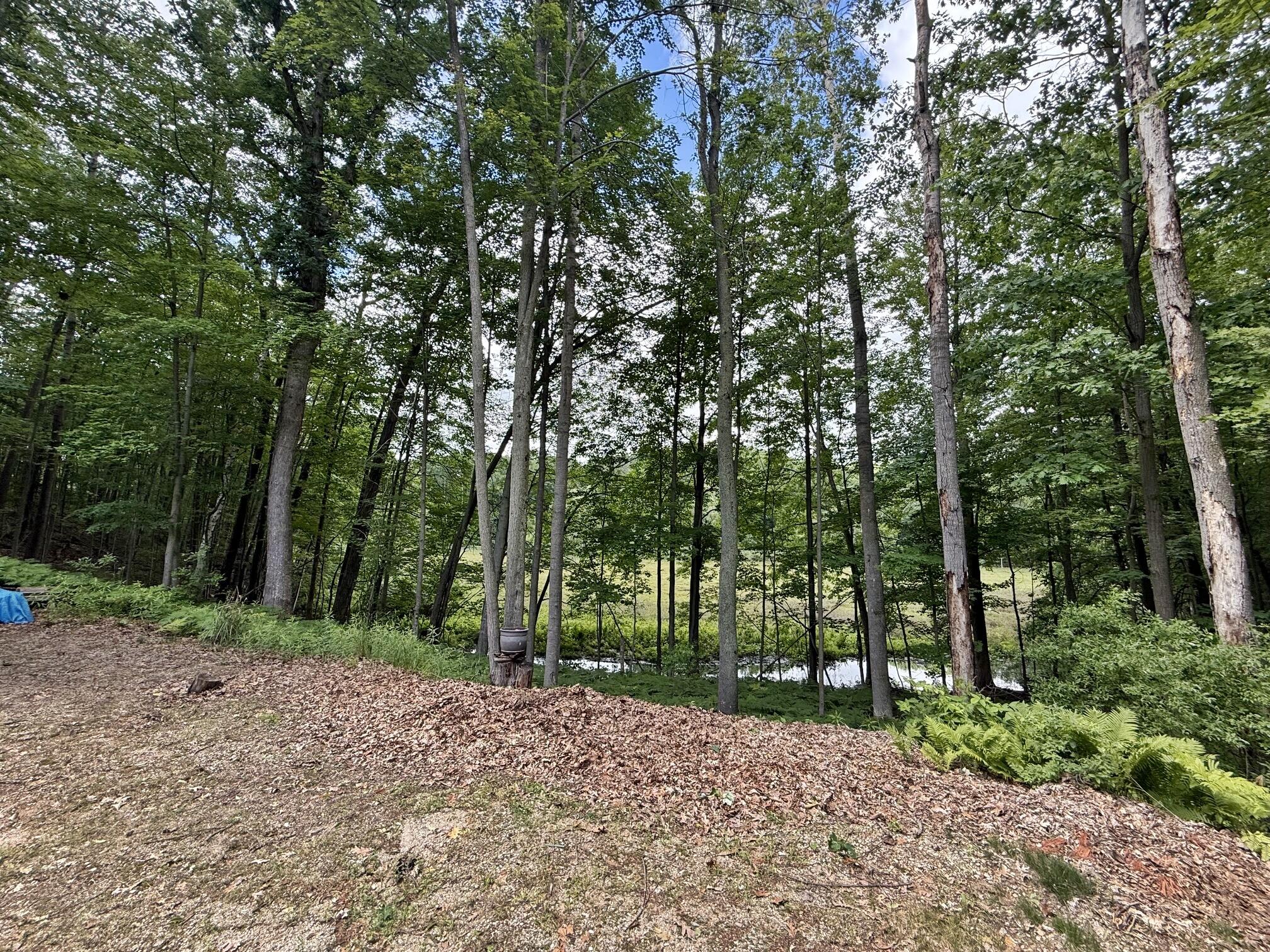 11310 East Royal Road Stanwood, MI 49346 - Photo 35 of 35 33