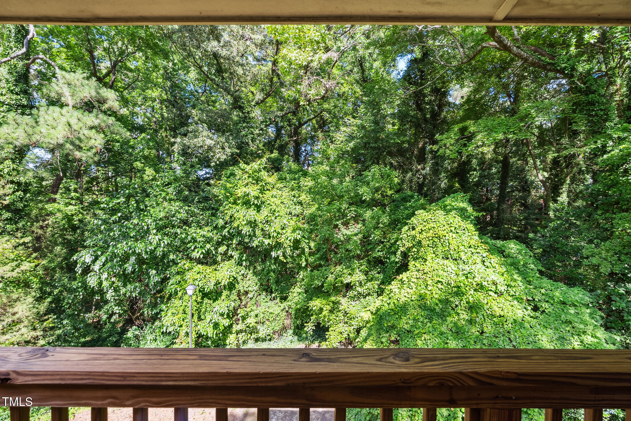 5082 Flint Ridge Place Raleigh, NC 27609 - Photo 23 of 25 24_dsc06154