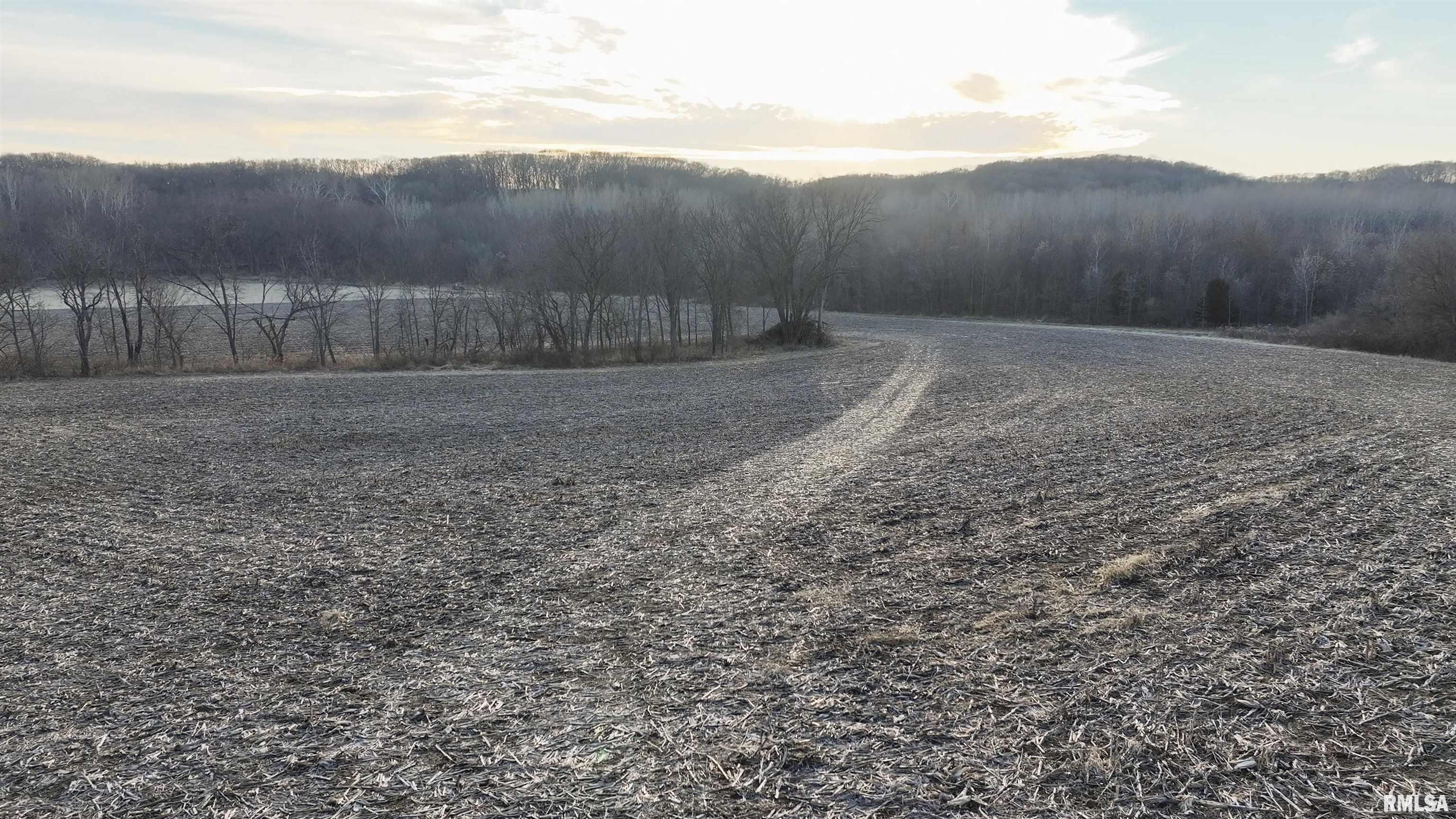 0 North Knox Road Dahinda, IL 61428 - Photo 11 of 11