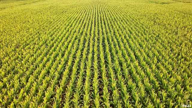 $722,500 | 0 North Knox Road, Dahinda, IL 61428