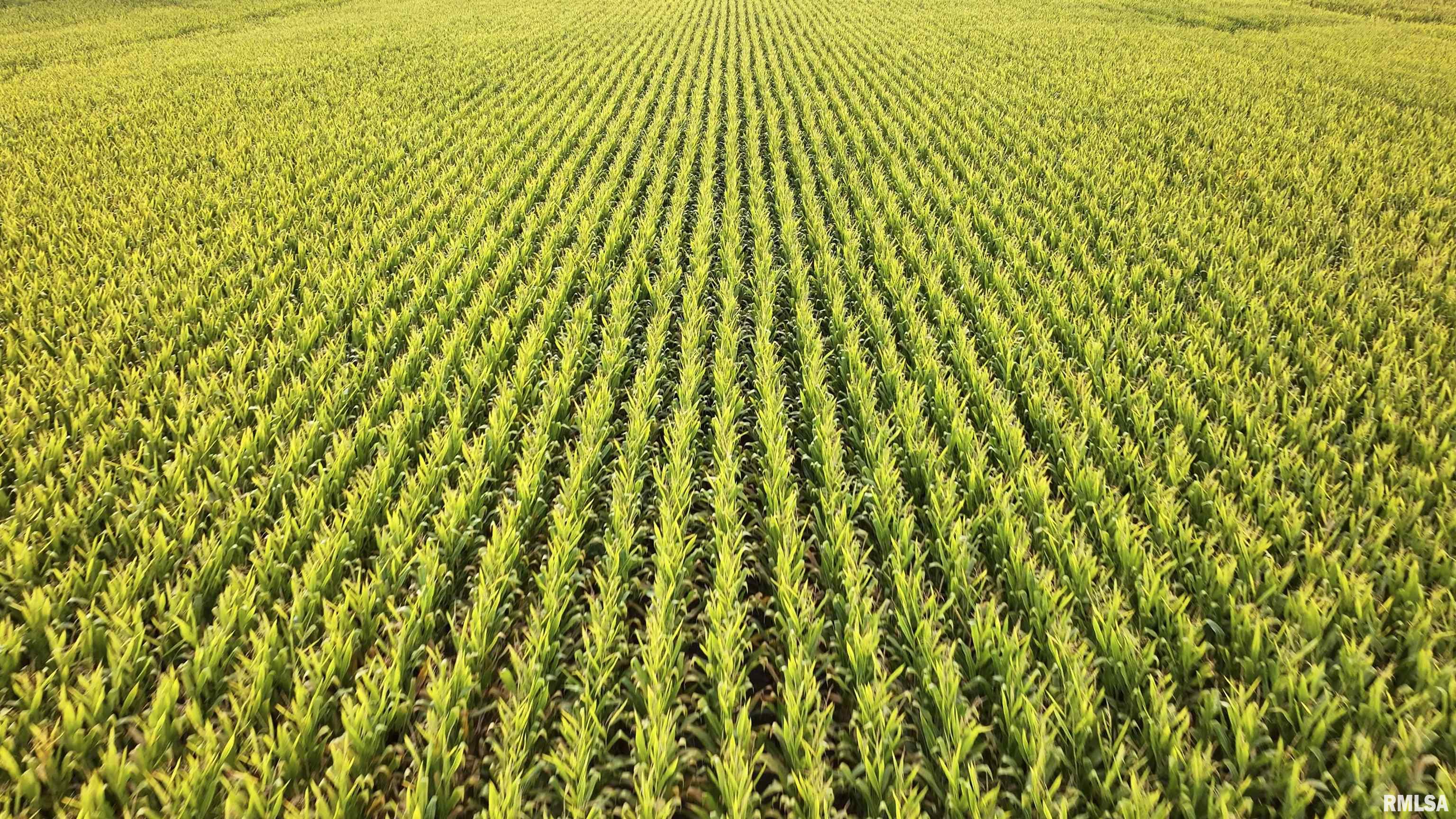 0 North Knox Road Dahinda, IL 61428 - Photo 2 of 11