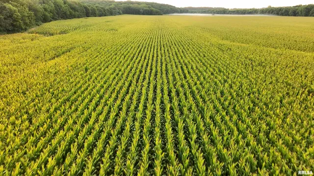 $722,500 | 0 North Knox Road, Dahinda, IL 61428