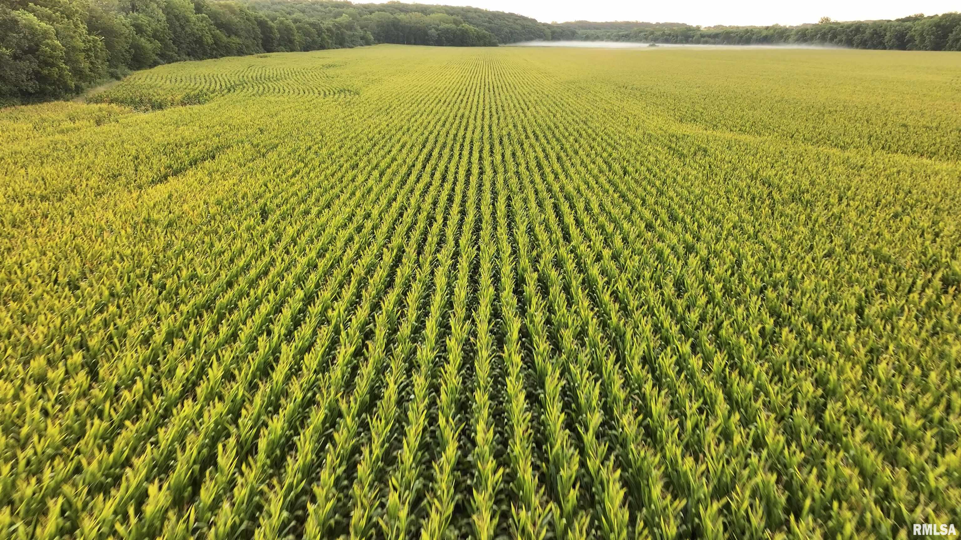 0 North Knox Road Dahinda, IL 61428 - Photo 3 of 11