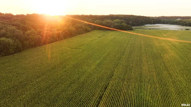 $722,500 | 0 North Knox Road, Dahinda, IL 61428