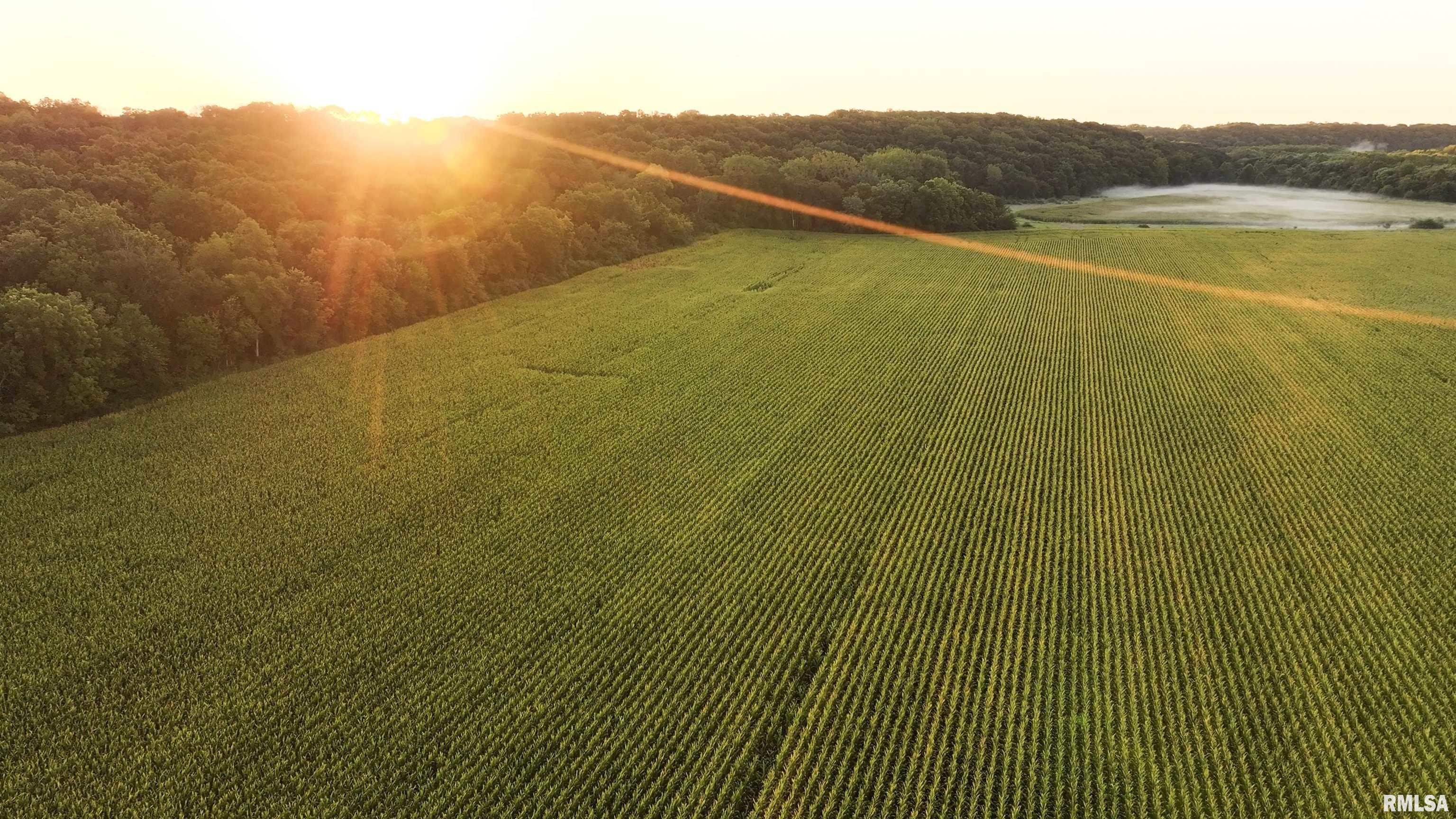 0 North Knox Road Dahinda, IL 61428 - Photo 4 of 11