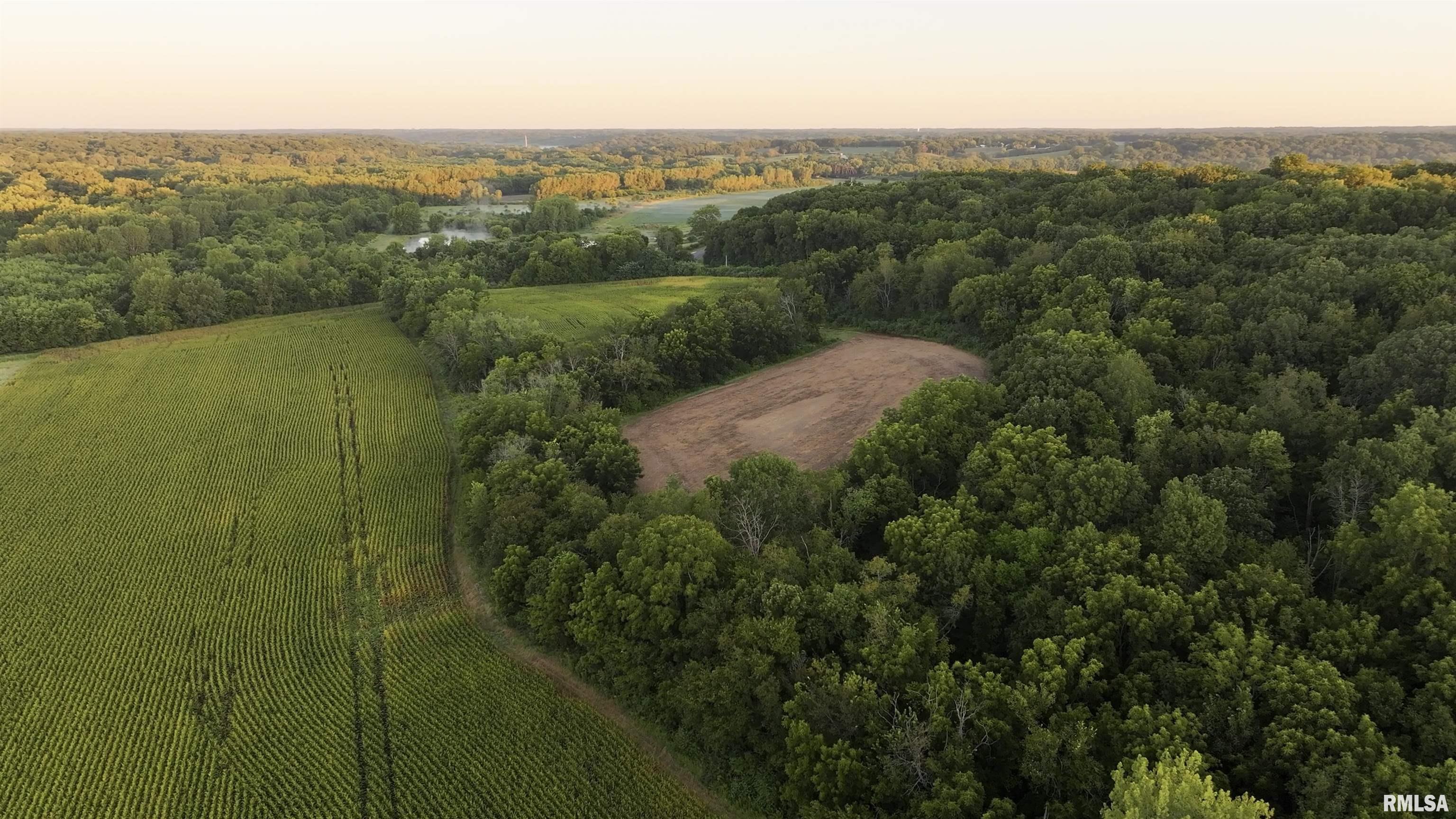 0 North Knox Road Dahinda, IL 61428 - Photo 5 of 11