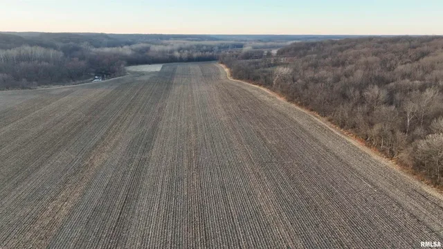 $722,500 | 0 North Knox Road, Dahinda, IL 61428