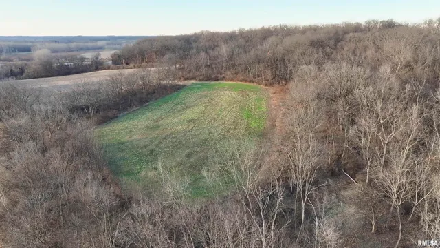 $722,500 | 0 North Knox Road, Dahinda, IL 61428