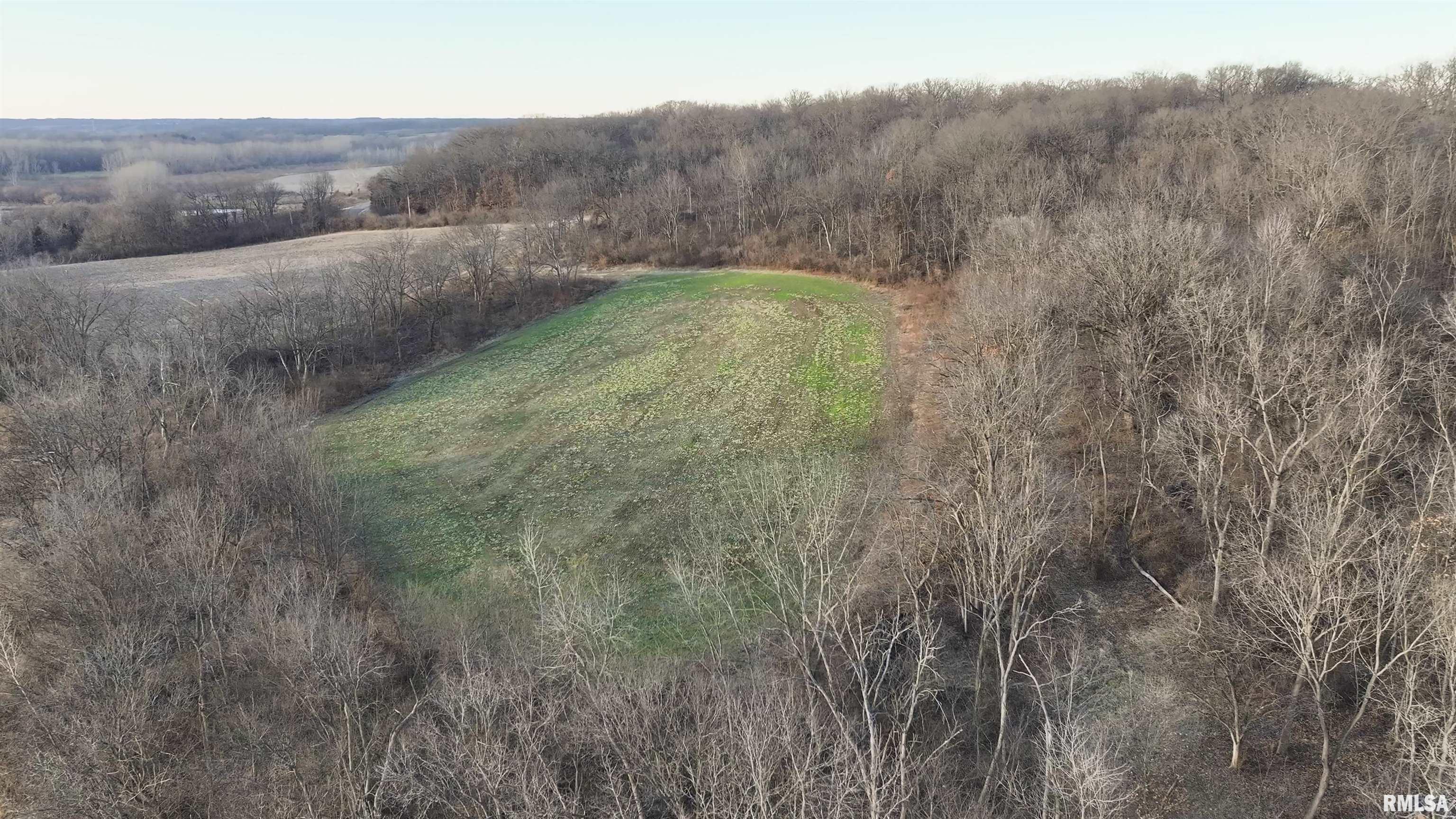 0 North Knox Road Dahinda, IL 61428 - Photo 8 of 11