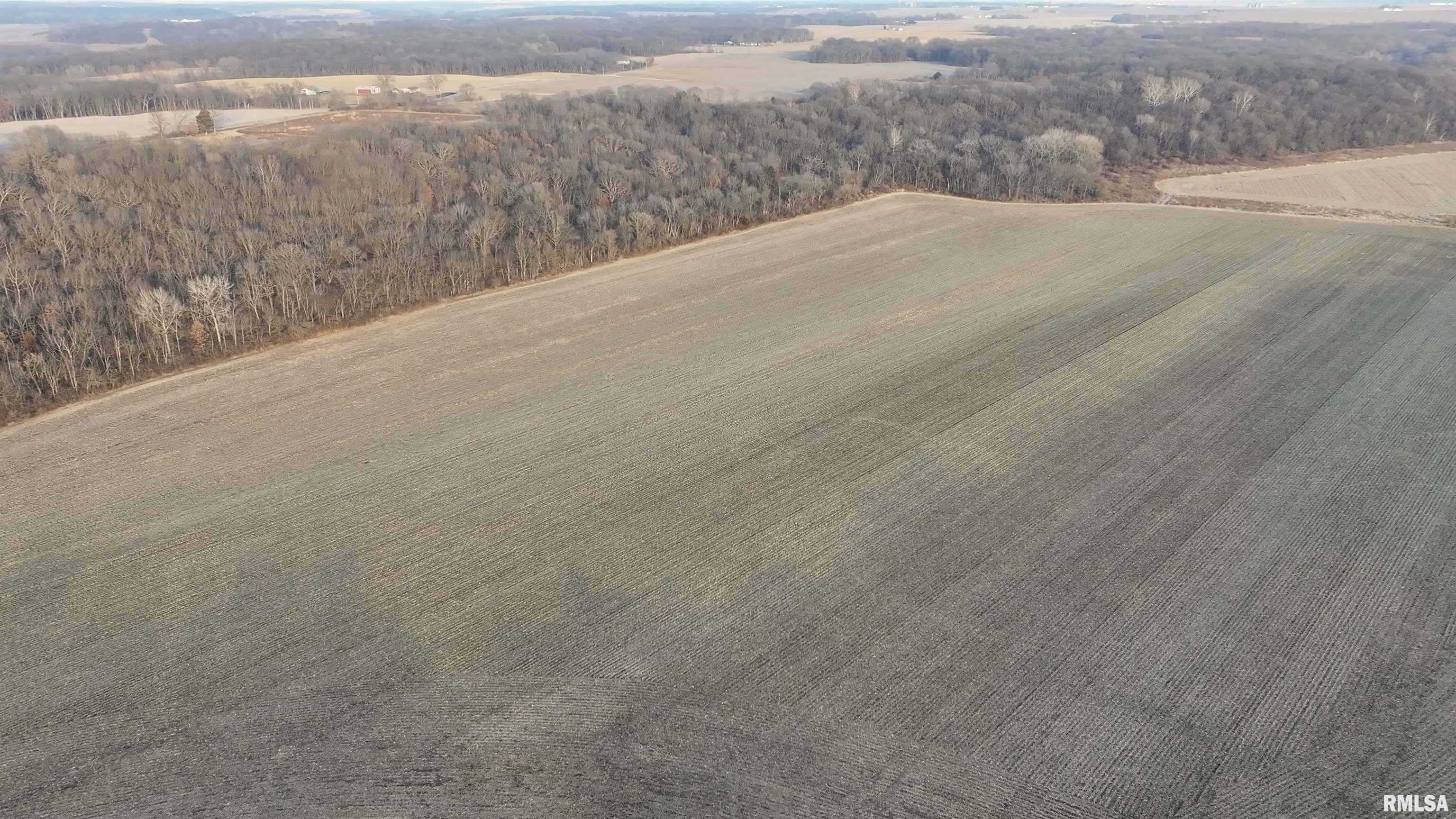 0 North Knox Road Dahinda, IL 61428 - Photo 10 of 11