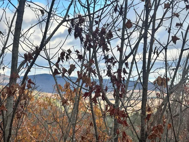 $99,900 | Lot #9 Oak Hill Drive, Bryant Pond, ME 04219