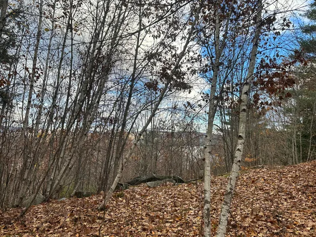 $99,900 | Lot #9 Oak Hill Drive, Bryant Pond, ME 04219