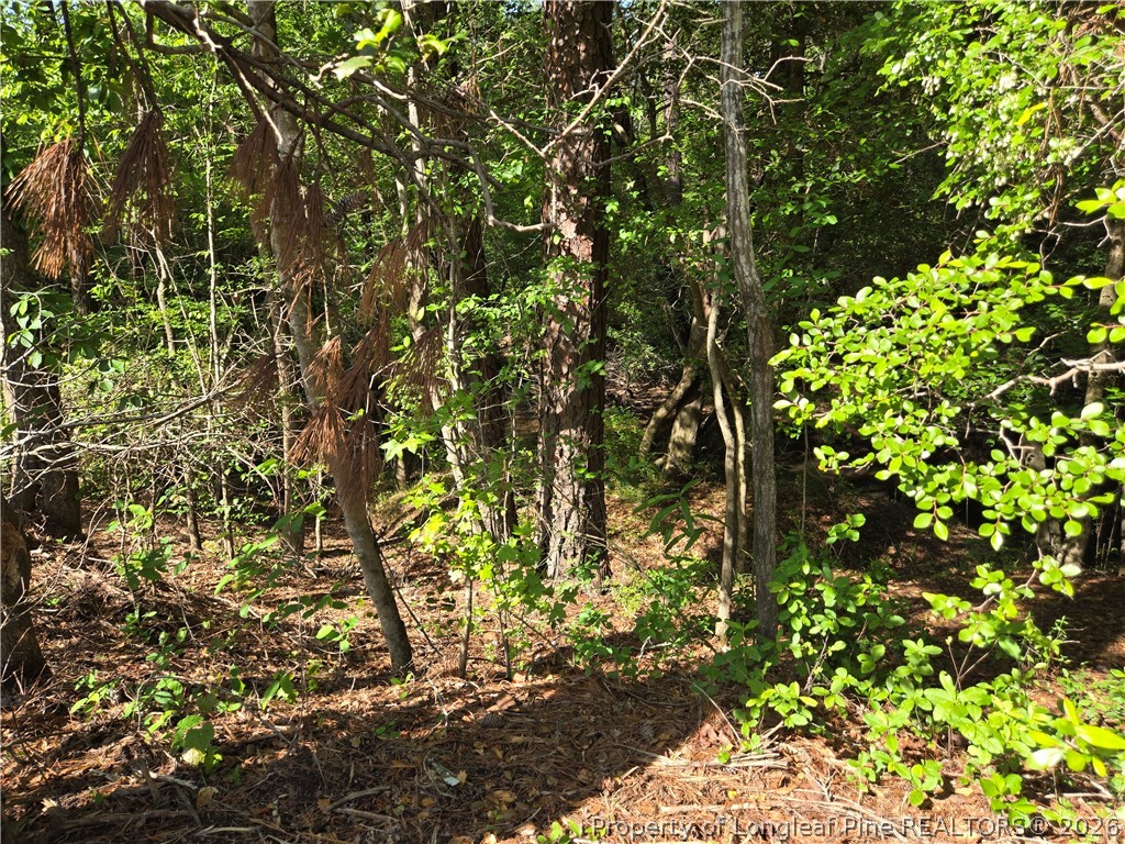 Tbd Cabins Creek Road Vass, NC 28394 - Photo 6 of 9