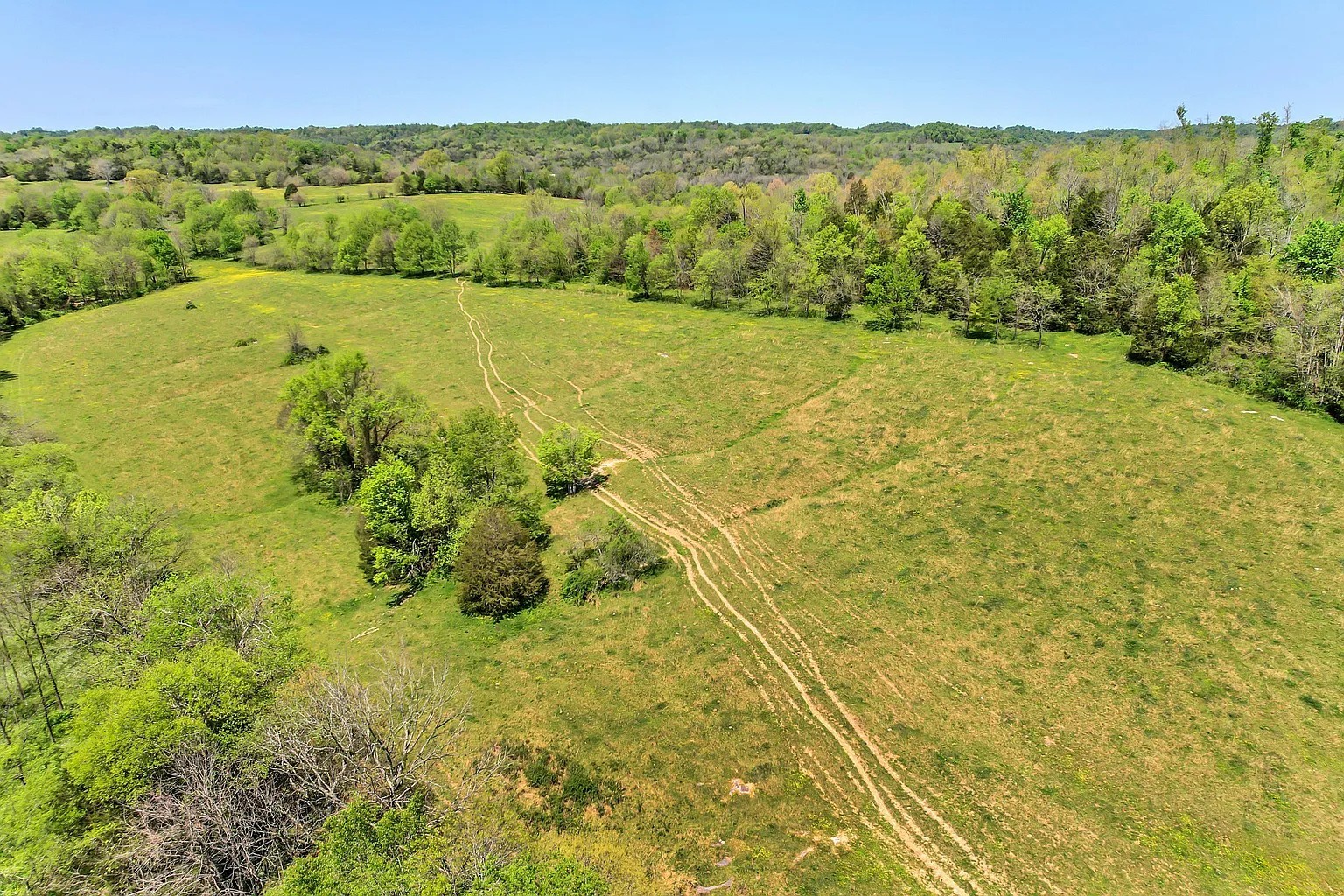 290 Gladdice Road Pleasant Shade, TN 37145 - Photo 13 of 41