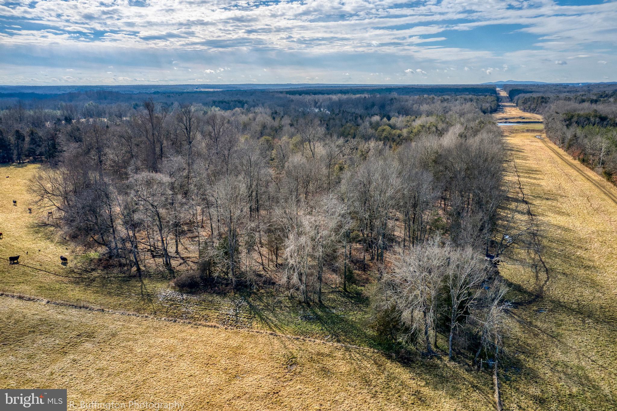 6765 Sumerduck Road Remington, VA 22734 - Photo 49 of 147 Gallery Image 49
