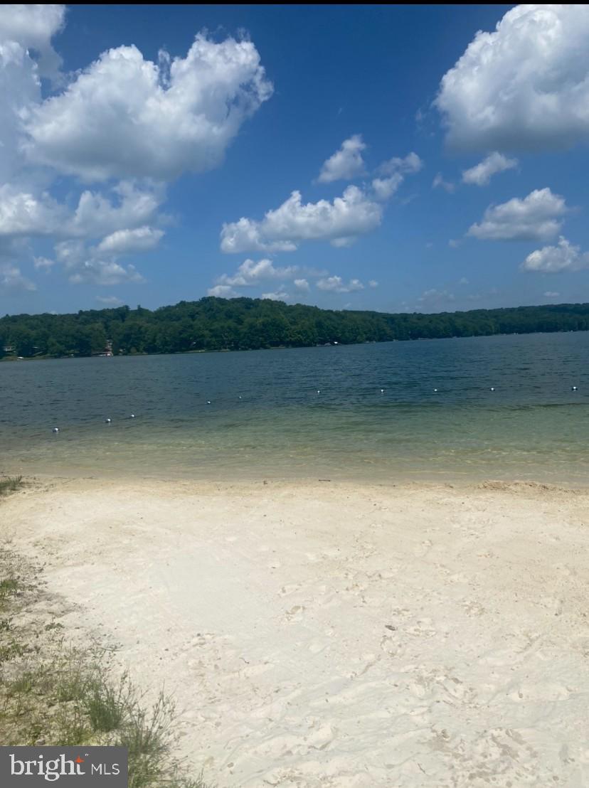 181 Dolphin Head Road Du Bois, PA 15801 - Photo 5 of 12 Lake Beach within POA