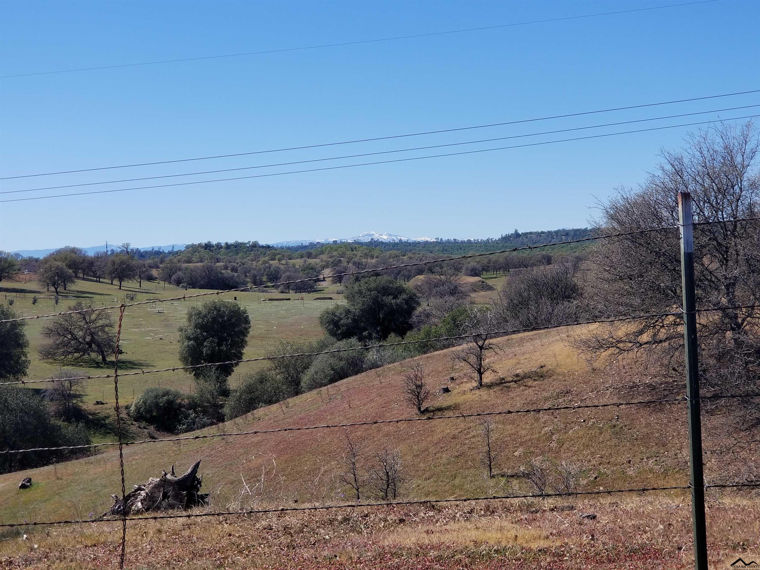 0 Riverview Ranch Road Red Bluff, CA 96080 - Photo 2 of 20 Gallery Image 2